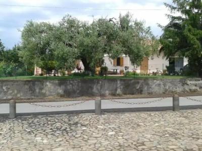 Villa Etna - 9