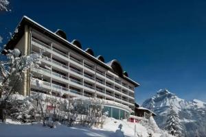 Hotel Waldegg - Adults Only, Engelberg