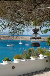 Melenos Art Boutique - 23