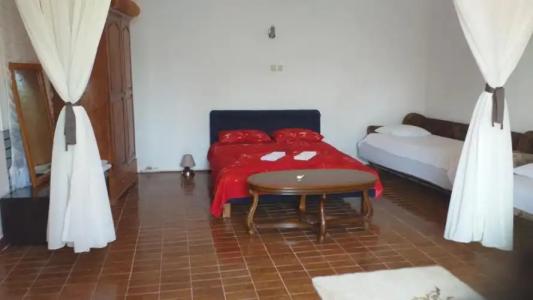 Guest house Naser - 52