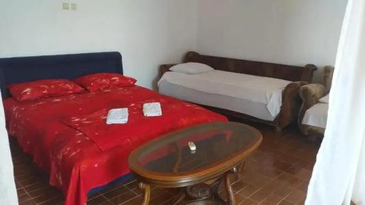 Guest house Naser - 46