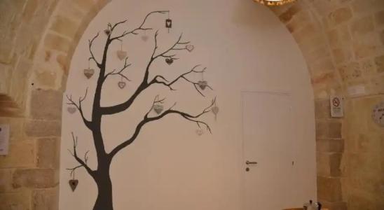 Cittadella28 Like at Home - 16