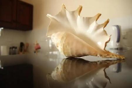 Surfers Beach Self Catering Chalets - 43