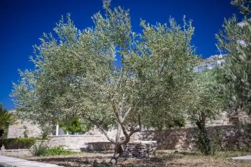 Villa Stella Mare - 117