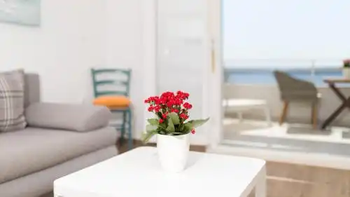 Villa Stella Mare - 53
