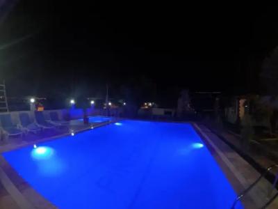 Pınar Vintage House - 11