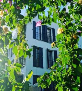 Savra Bodrum - 20