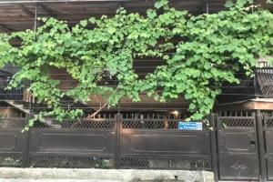 Guest house Mandarin on Titova 85, Sukhumi