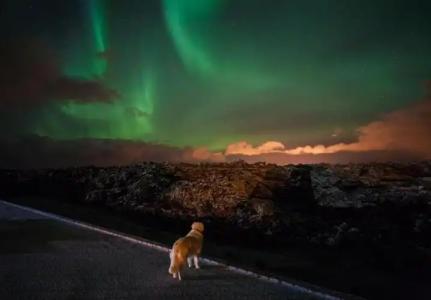 Northern Light Inn - 0