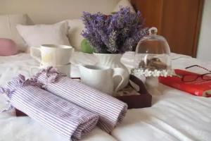 Zd City Room, Zadar