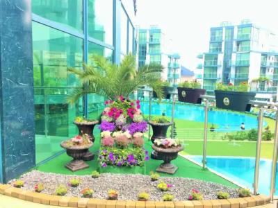 Primorsko Del Sol - 29