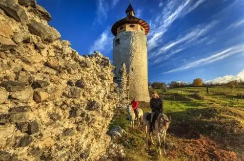 House Valentić - 10