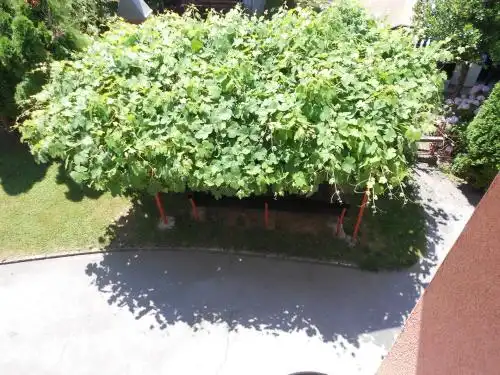 House Valentić - 28