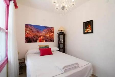 Kiraz Cicegi Butik Akyaka - 34