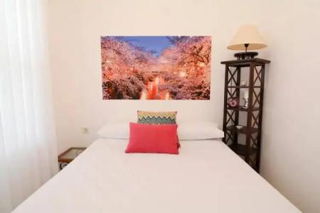 Kiraz Cicegi Butik Akyaka - 0