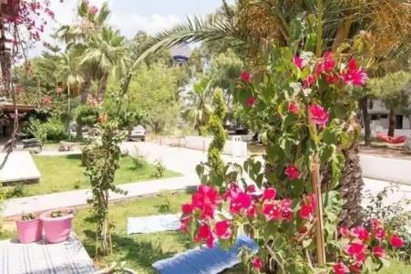 Kiraz Cicegi Butik Akyaka - 13