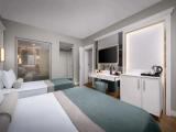 Deluxe Connection room with partial view