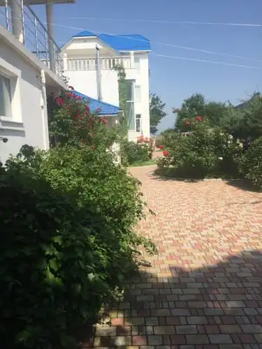 Vit-hotel - 13