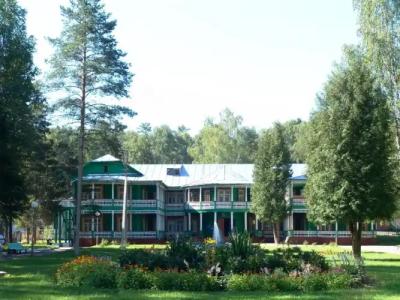 Zeleny Gorodok Health Resort - 10