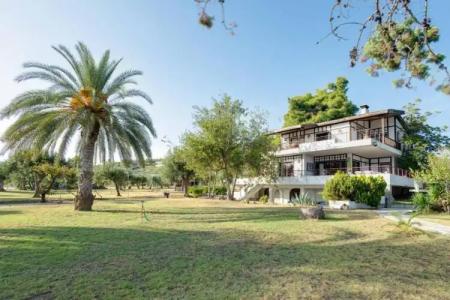 Malt Beachfront Villa - 31