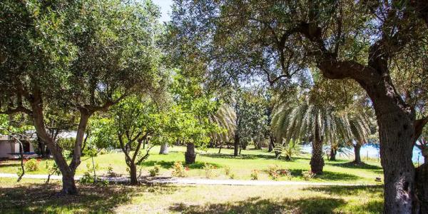 Malt Beachfront Villa - 4