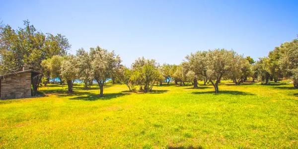 Malt Beachfront Villa - 23