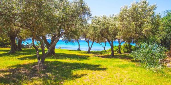 Malt Beachfront Villa - 20