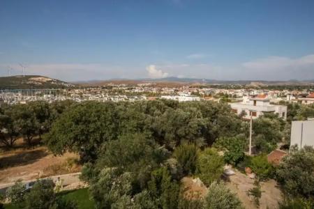 Clementine Suits Sigacik - 83