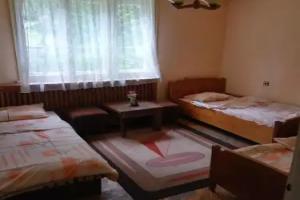 Guest House «Betolovoto»