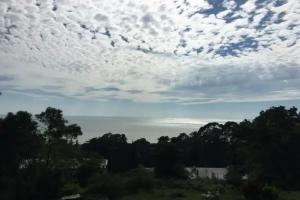 Solnechny kholm Guest house, Sukhumi