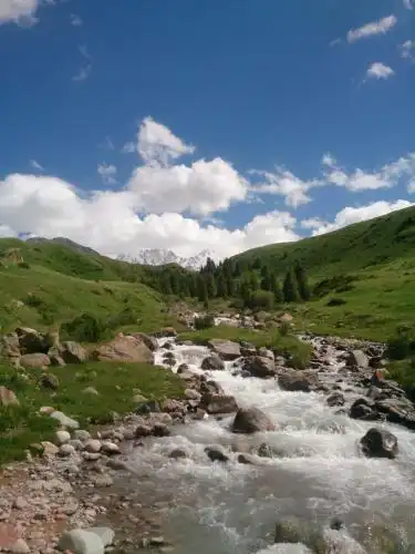 Ashu Guest House - 27