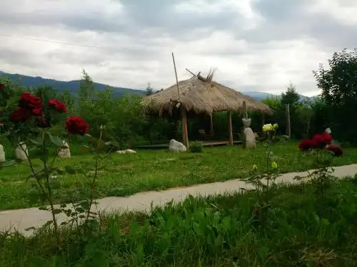 Ashu Guest House - 11
