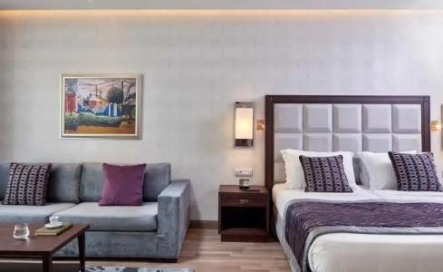 Electra Metropolis - 45