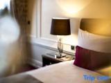 Standard Junior Suite