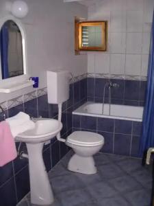 Guest house Živković - 9