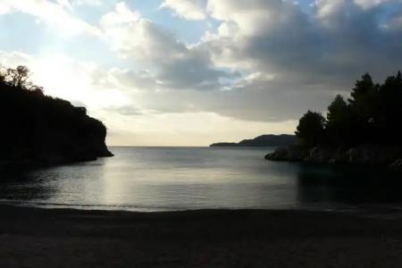 Guest house Živković - 14