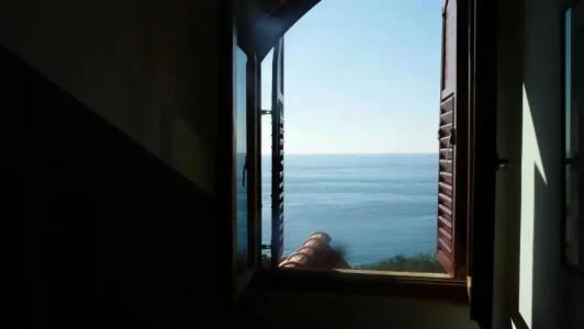 Guest house Živković - 6