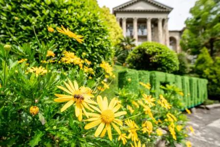 Klinicheskiy Sanatoriy Metallurg Health resort - 2