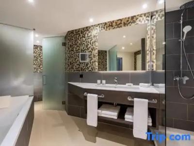 Basel Marriott - 105