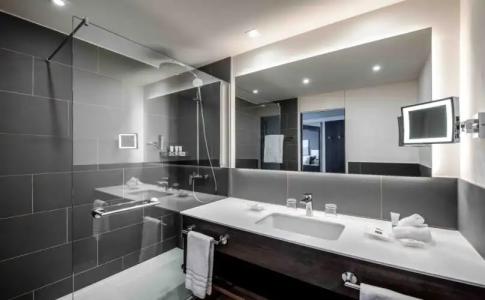 Basel Marriott - 7