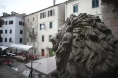 Guest House Forza Lux - 12