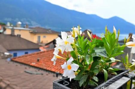 Garni Villa Siesta Park - 48