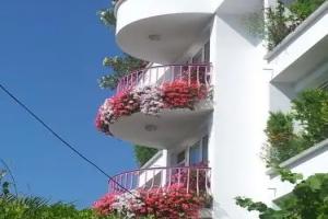 Guesthouse JANA, Pomorie