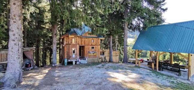 Pinetrees Lodge - 7