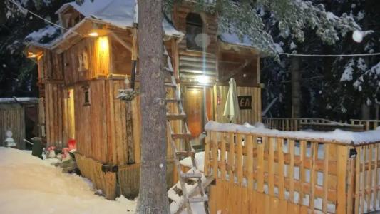 Pinetrees Lodge - 0