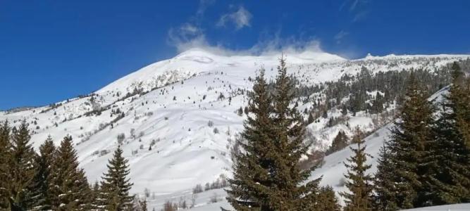 Pinetrees Lodge - 1
