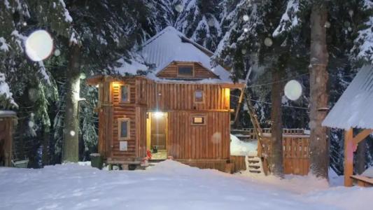 Pinetrees Lodge - 4