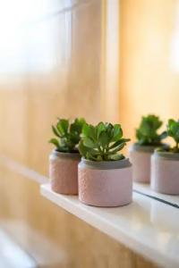 California Apartments - 46