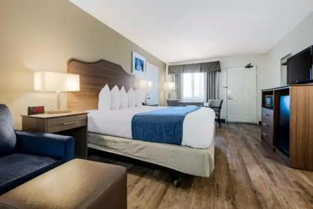 Riviera South Beach - 31