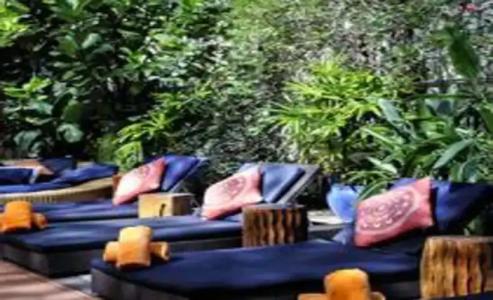 Riviera South Beach - 15